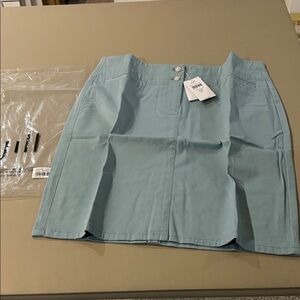J. Jill Light Blue Skirt NWT Size 6P